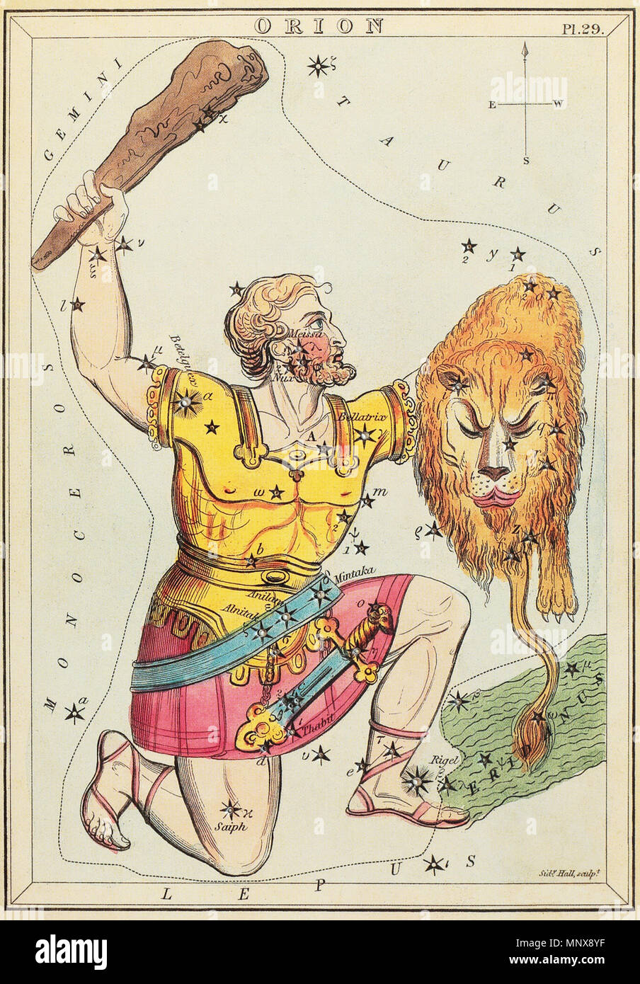 . "Orion", la plaque 29 dans miroir de l'Urania, un ensemble de cartes célestes accompagnés d'un traité d'astronomie ... par Josaphat Aspin. Londres. Tableau astronomique, 1 couches d'impression sur paper board : gravure, colorées à la main. 1825. Sidney Hall (1788-1831) Description Français cartographe Date de naissance/décès 1788 lieu de travail 1831 Greater London Authority control : Q7509106 : VIAF 59508906 ISNI : 0000 0000 7976 1988 RCAC : n89123183 GND : 103754067 095000704 SUDOC : Restauration WorldCat par Adam Cuerden 1117 Sidney Hall - Urania's Mirror - Orion (meilleure version actuellement disponible - 2014) Banque D'Images