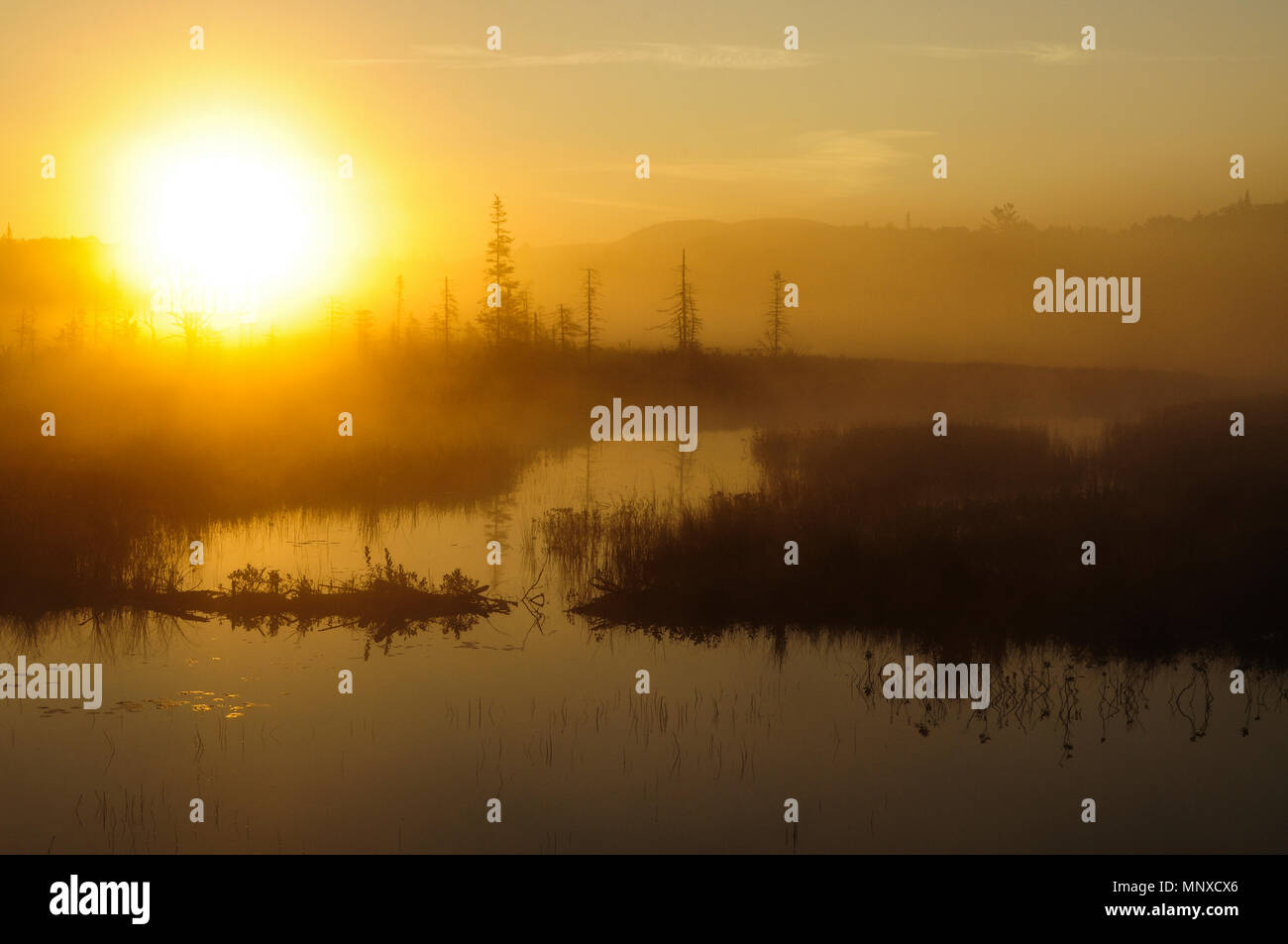 South Lake Lever du soleil, de l'Ouest Canada Lakes Wilderness Area, Adirondack Forest Preserve, New York Banque D'Images