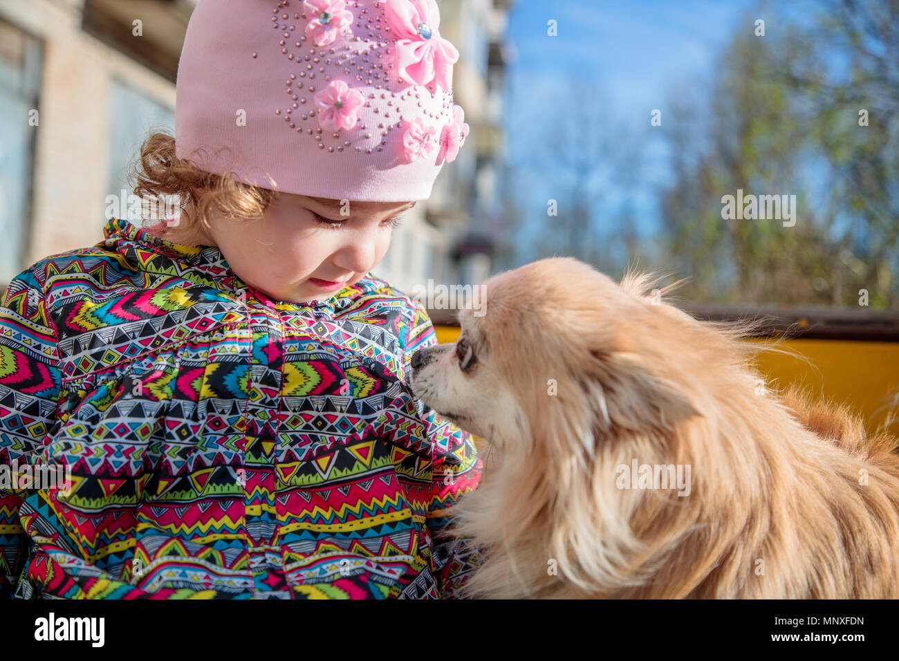 Petite et douce jeune fille avec un chien moelleux Banque D'Images