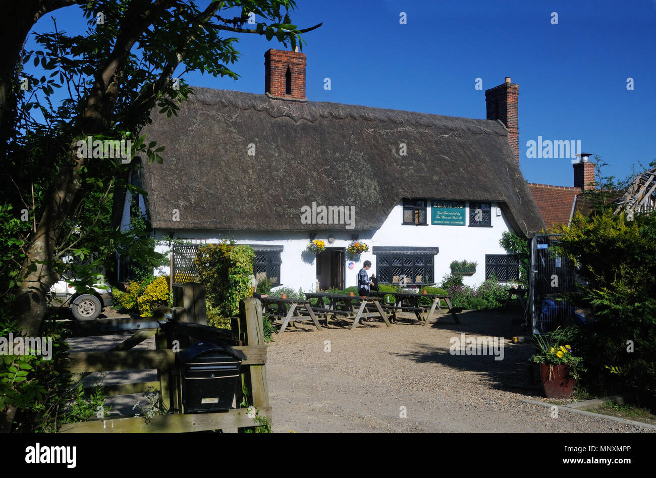 Le Red Cow, dans Chrishall, Essex, Angleterre Banque D'Images