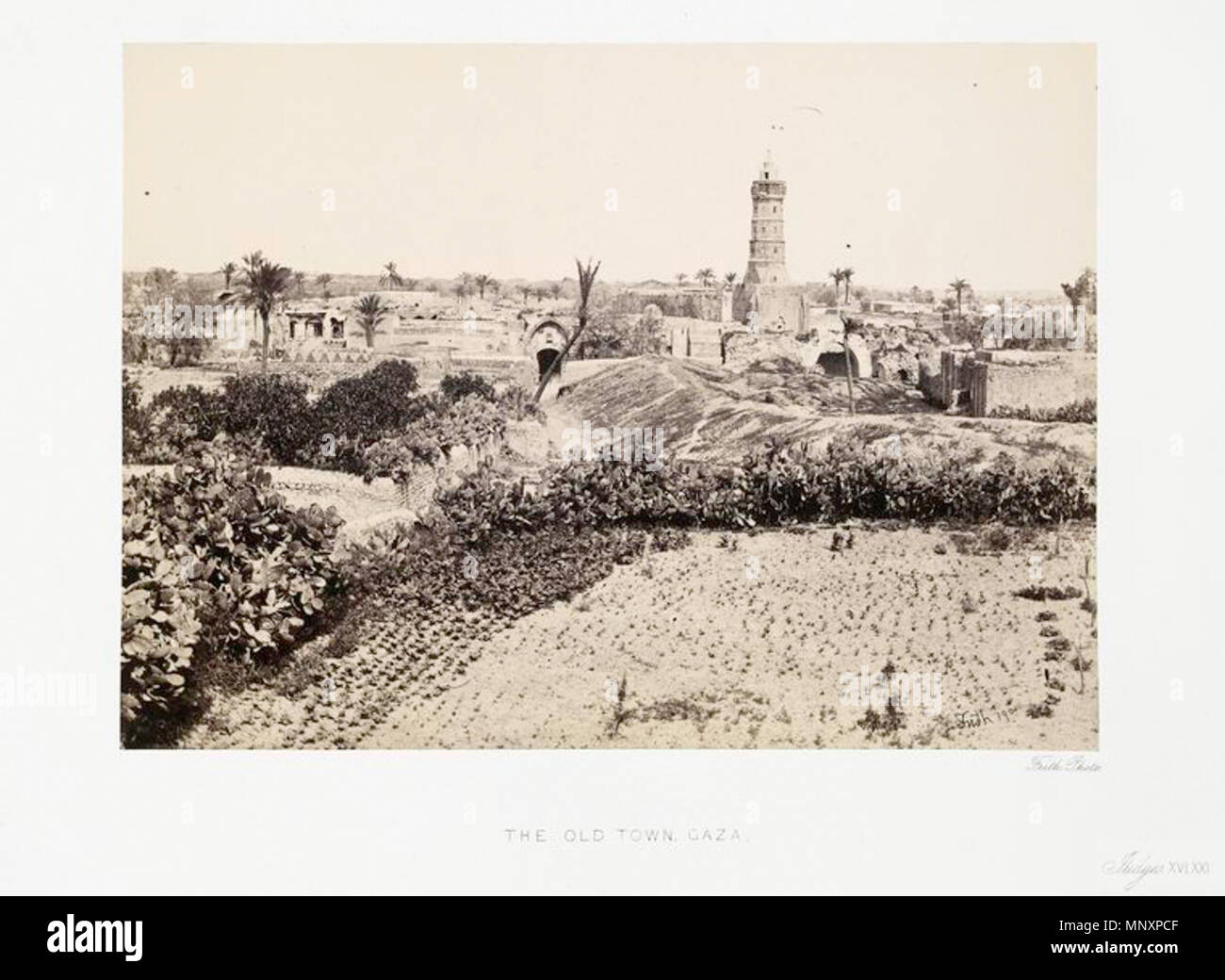 . Anglais : La vieille ville, Gaza. Entre 1862 et 1863. Francis Frith (1822-1898) Noms alternatifs Frances Frith Description photographe britannique Date de naissance/décès 31 Octobre 1822 25 février 1898 Lieu de naissance/décès Chesterfield, Angleterre Cannes, France contrôle d'autorité : Q978878 : VIAF 44310985 ISNI : 0000 0000 6641 571X ULAN : 500005649 RCAC : n79084320 36533855 1178 NLA : WorldCat, la vieille ville de Gaza (1862-1863) Banque D'Images