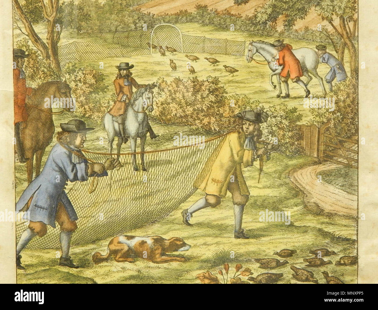 . Gravure sur cuivre intitulée "Le paramètre Dogg & Partridgs" (détail) . 1686. Richard Blome (1635-1705) 1180 Le paramètre Dogg &AMP ; Partridgs (détail) Banque D'Images
