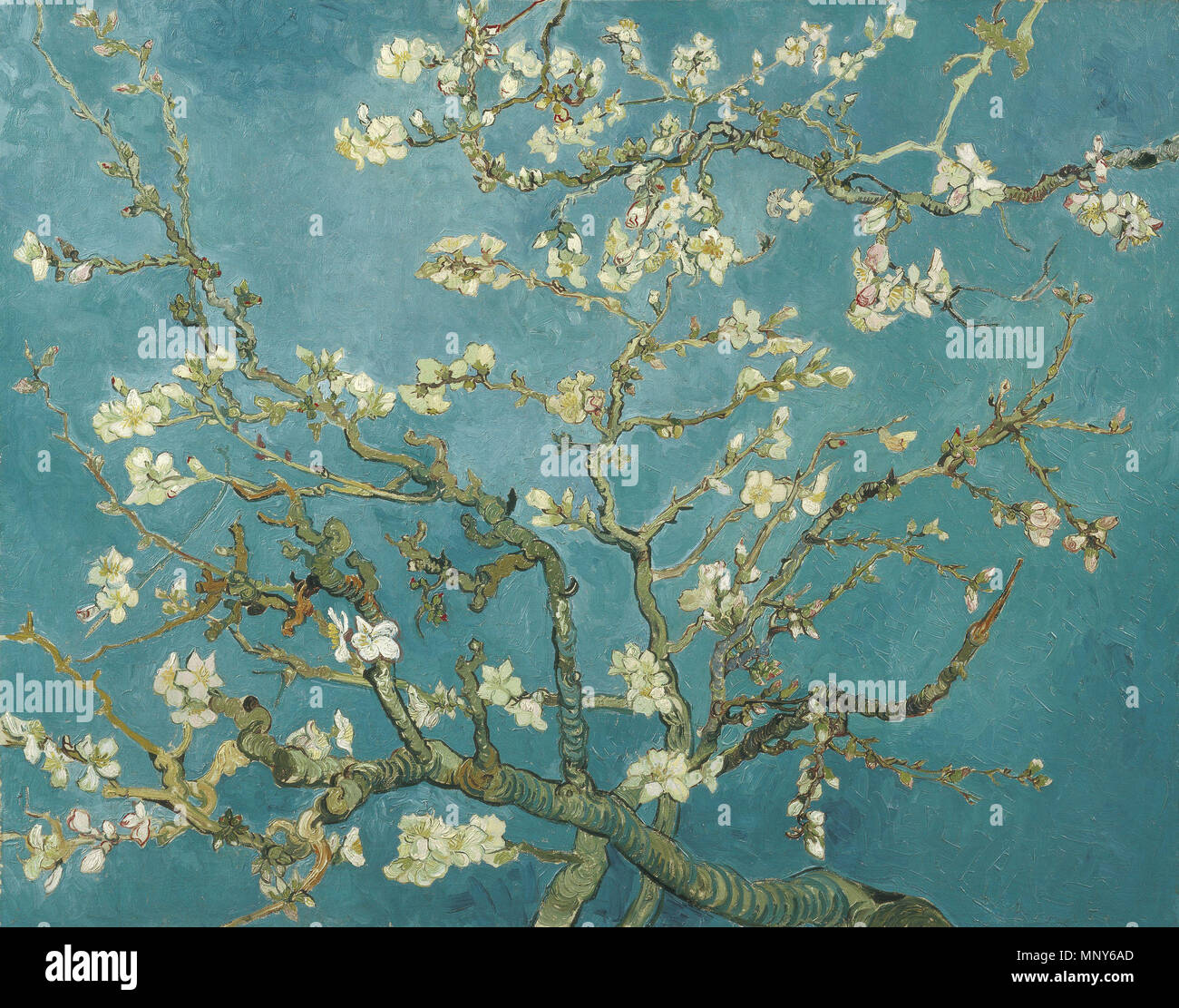 1890 Fleur d'amandier (commencé entre le 1er février et le 20 février, achevé avant le 29 avril). 1237 - Vincent van Gogh - Fleur d'amandier VGM F671 Banque D'Images