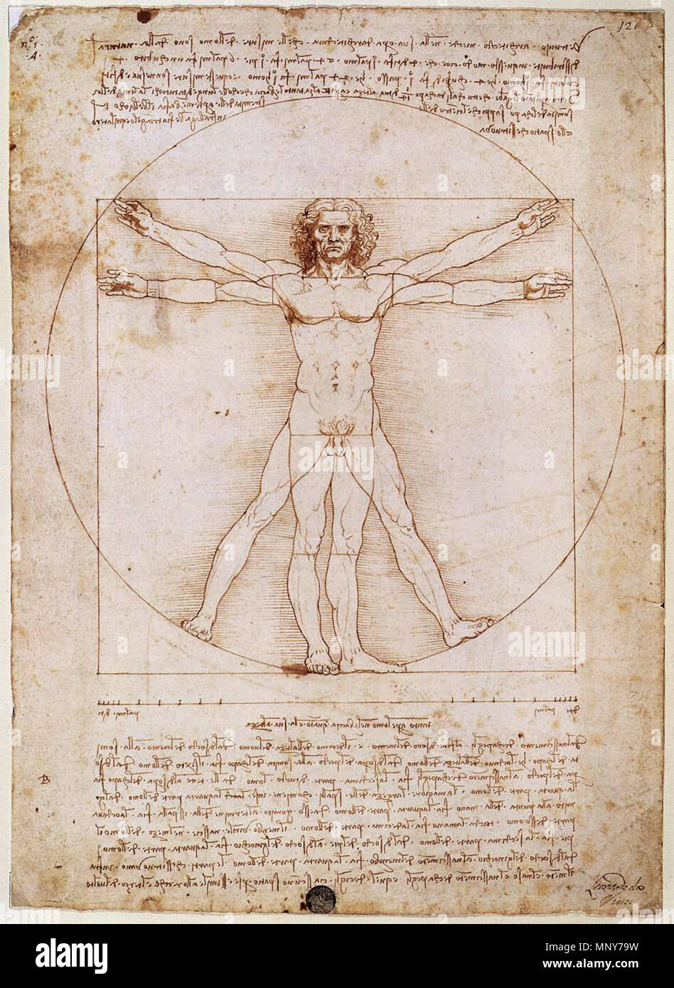 Anglais : 1492 Homme de Vitruve. 1242 Vitruve. Banque D'Images