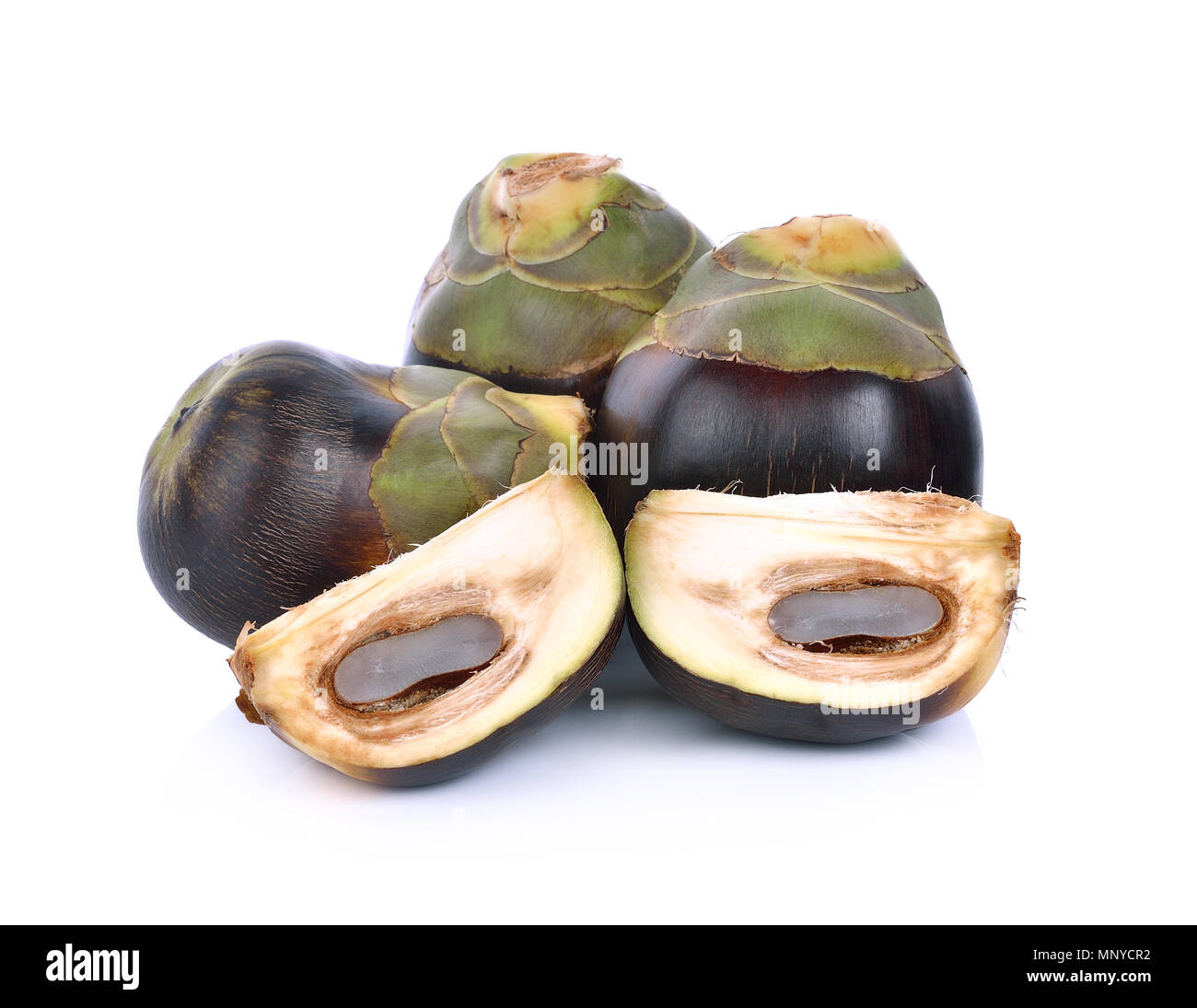 Palmyre asiatique Palm, Palm Toddy, le Sugar Palm et palm cambodgien Banque D'Images