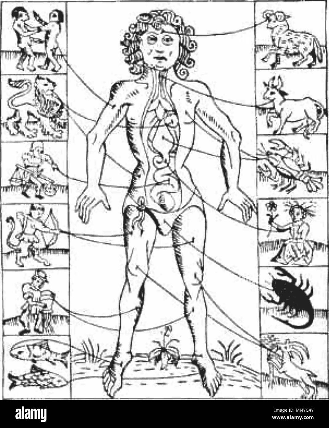 . 1285 Homme 1702 Zodiac Banque D'Images