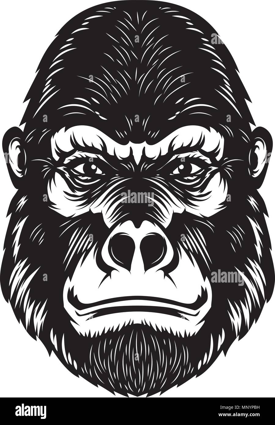 Tête de singe gorille illustration sur fond blanc. Éléments de conception pour le poster, emblème, signe. Image vectorielle Illustration de Vecteur