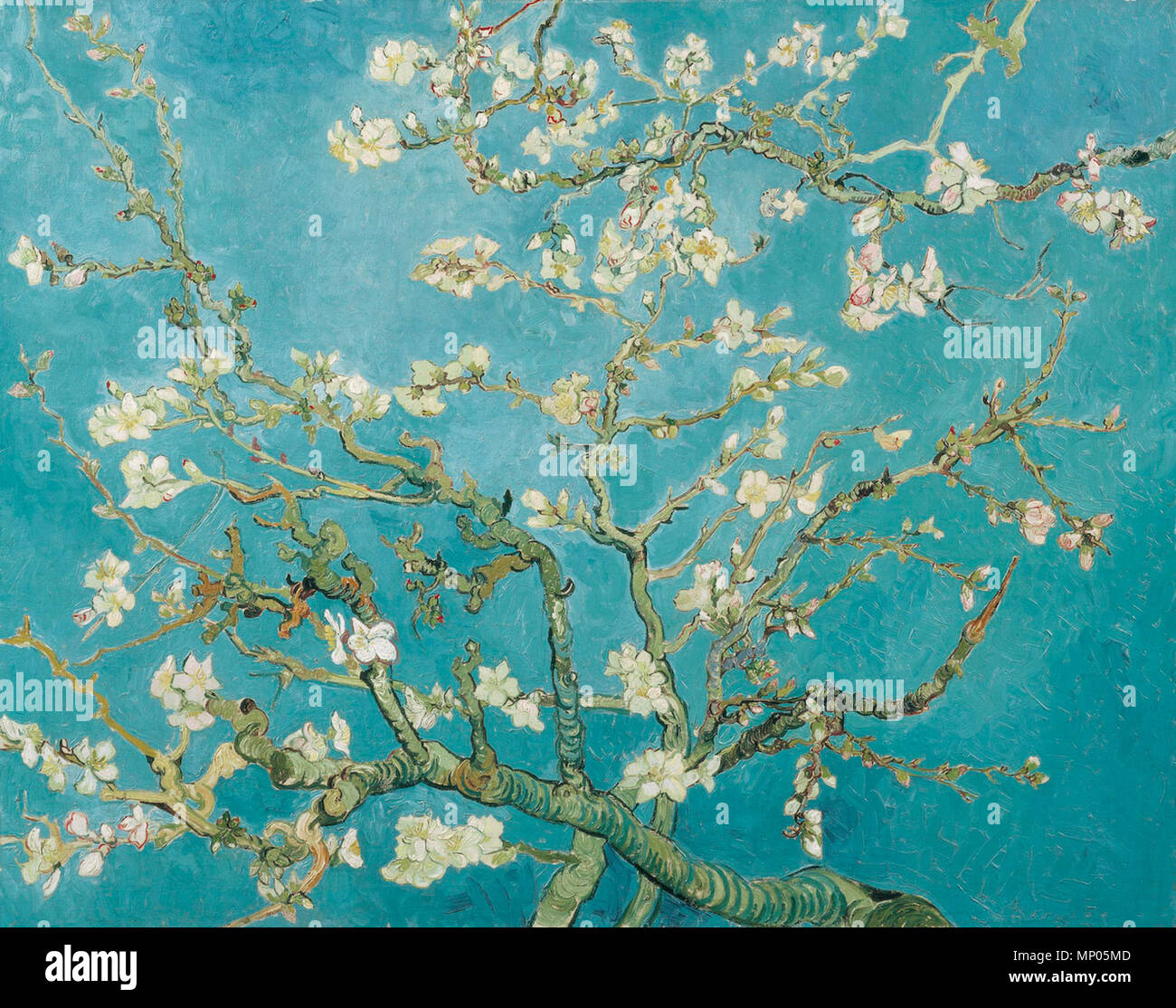 Anglais : Moulay) English : Amandier en fleurs 1890. 1237 Vincent van Gogh - Branches d'un amandier en fleurs (F671) Banque D'Images