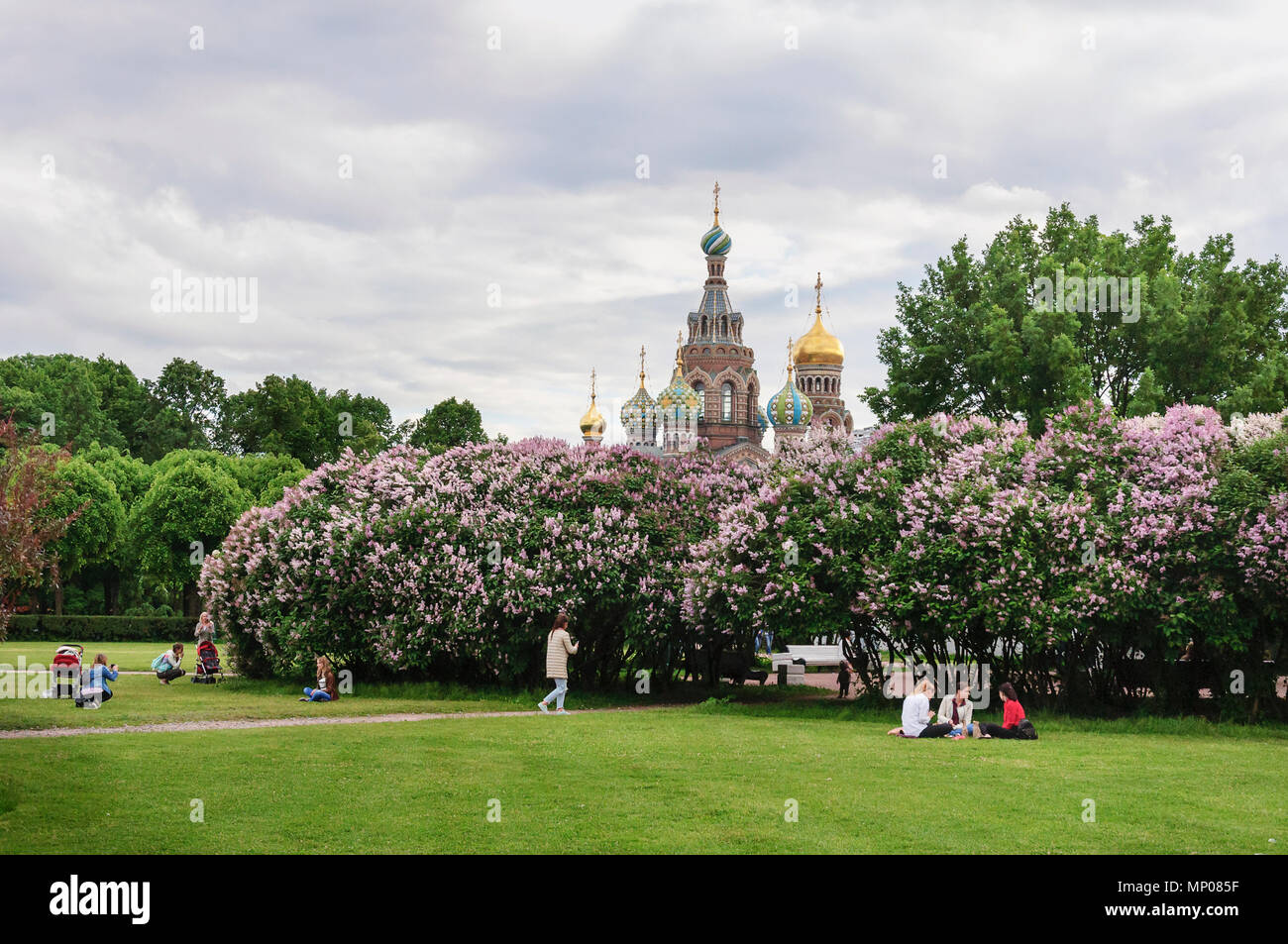 Champ de Mars dans Saint-Petersbug Banque D'Images