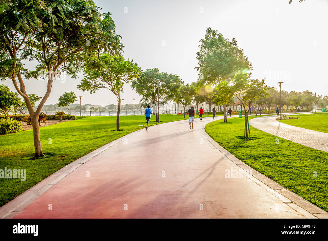 Piste de jogging dans un parc Dubai Banque D'Images