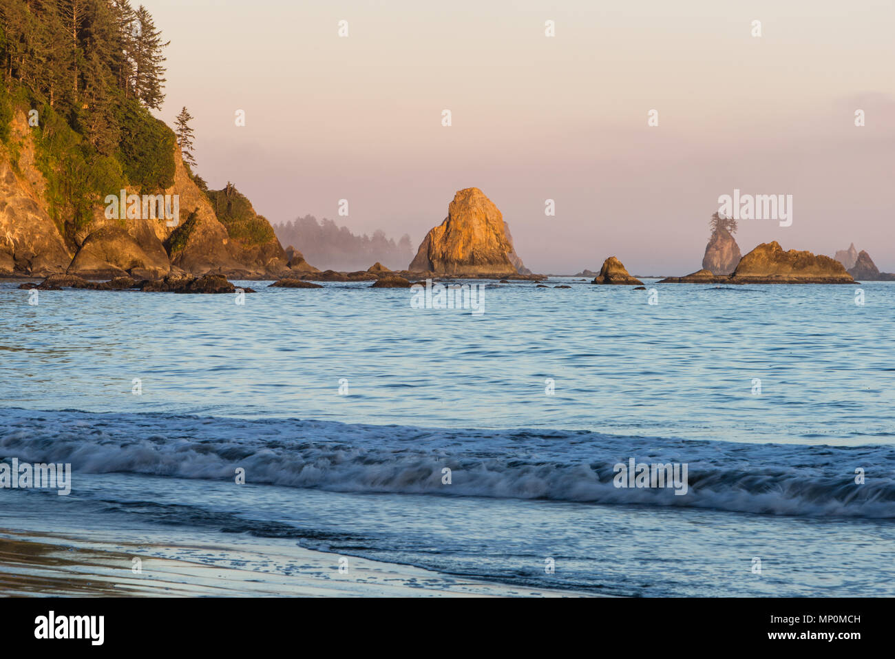 parc-national-olympique-de-washington-banque-de-photographies-et-d