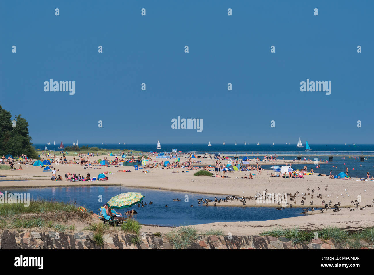 Détente sur une chaude journée d'été à la plage 'Falkensteiner Strand', Kiel, Kiel, Allemagne, Banque D'Images