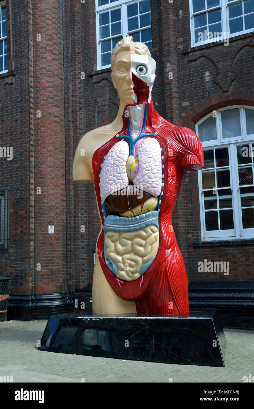 Damien Hirst sculpture 'Hymne' sur l'affichage temporaire à St Georges Street en dehors de la Norwich University of the Arts, Norwich, Norfolk, UK Banque D'Images
