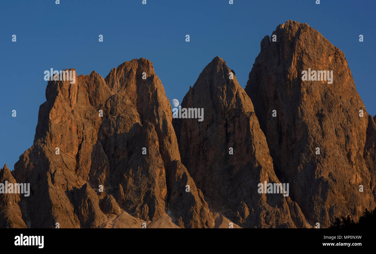 La lune et les Odle groupe de montagnes, une partie du parc naturel Puez-Odle Dolomites à Funes, province de Bolzano - Tyrol du Sud, Italie. Banque D'Images