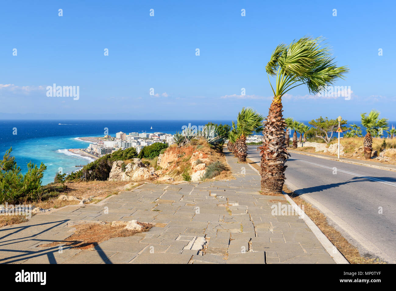 Palmiers tropicaux sur la magnifique île de Rhodes. Grèce Banque D'Images