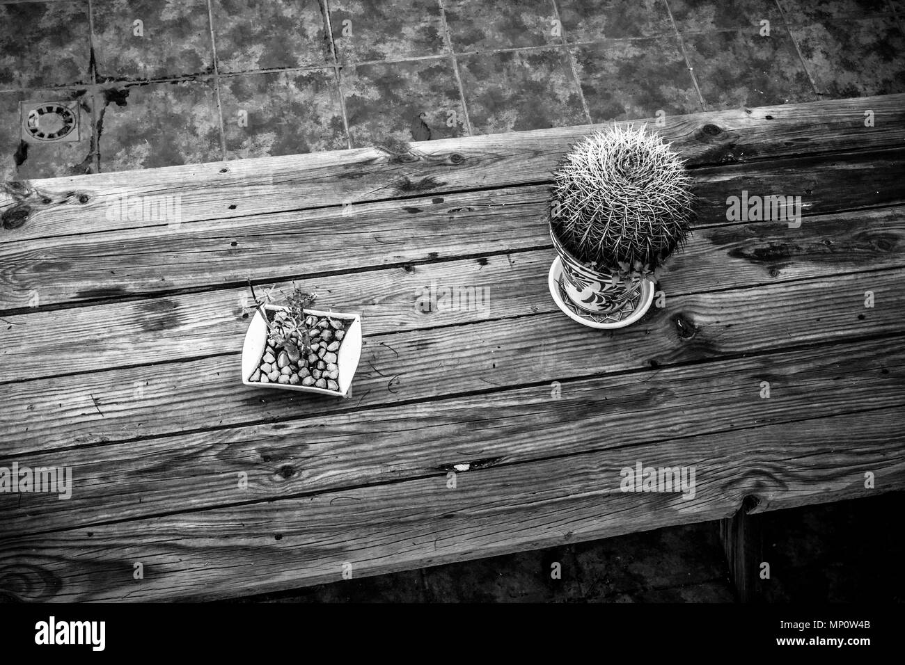 Image en noir et blanc de table en bois rustique avec des cactus en pot. Banque D'Images