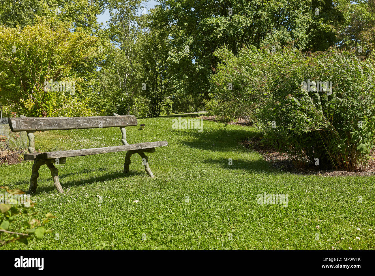 Banc de repos dans un jardin botanique à Helsinki, en Finlande. Banque D'Images