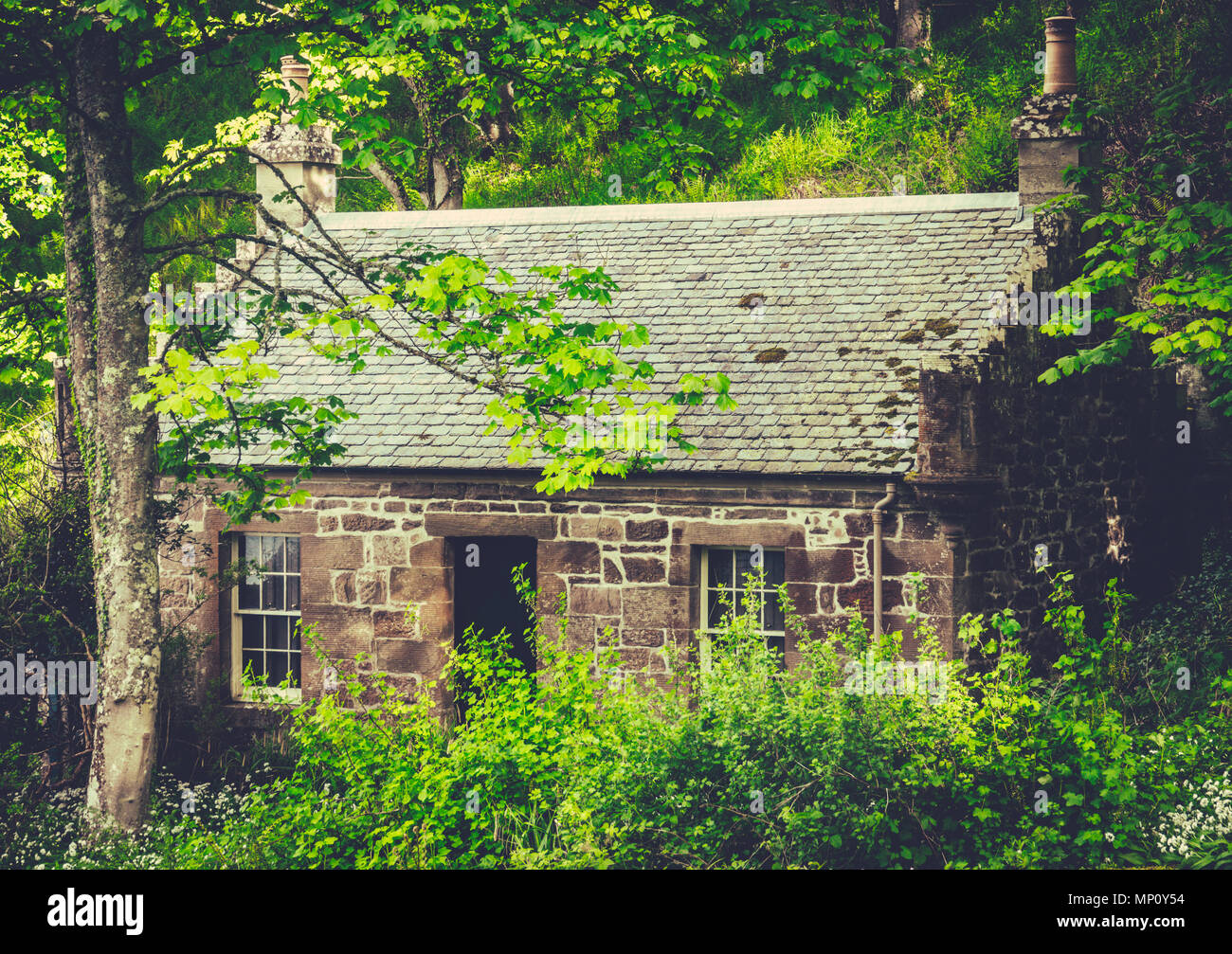 Un petit chalet ou maison ancienne cachée dans les bois Banque D'Images