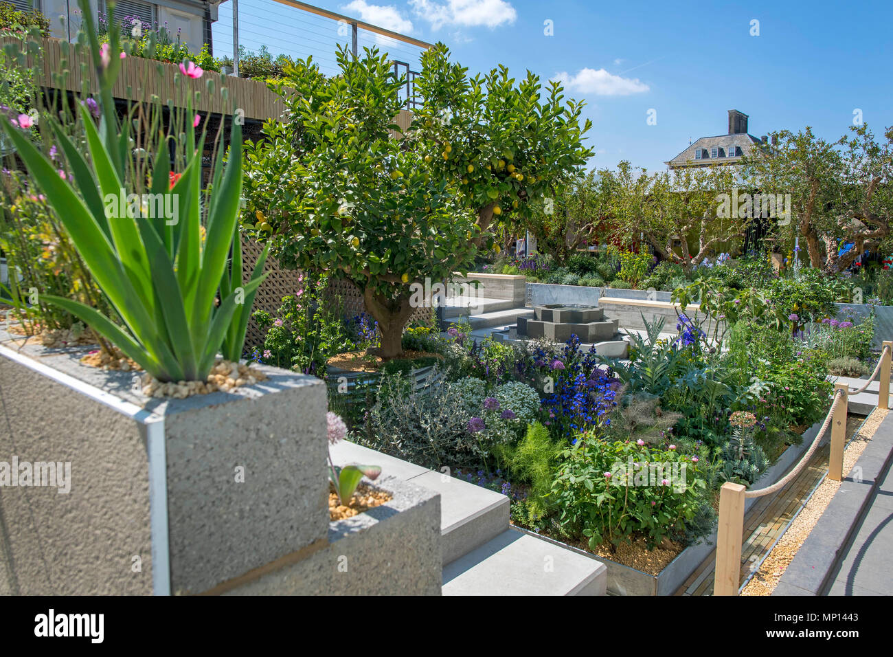 Le Citronnier Trust voir jardin comme les préparatifs se poursuivent pour cette année, le RHS Chelsea Flower Show au Royal Hospital Chelsea, Londres. Banque D'Images
