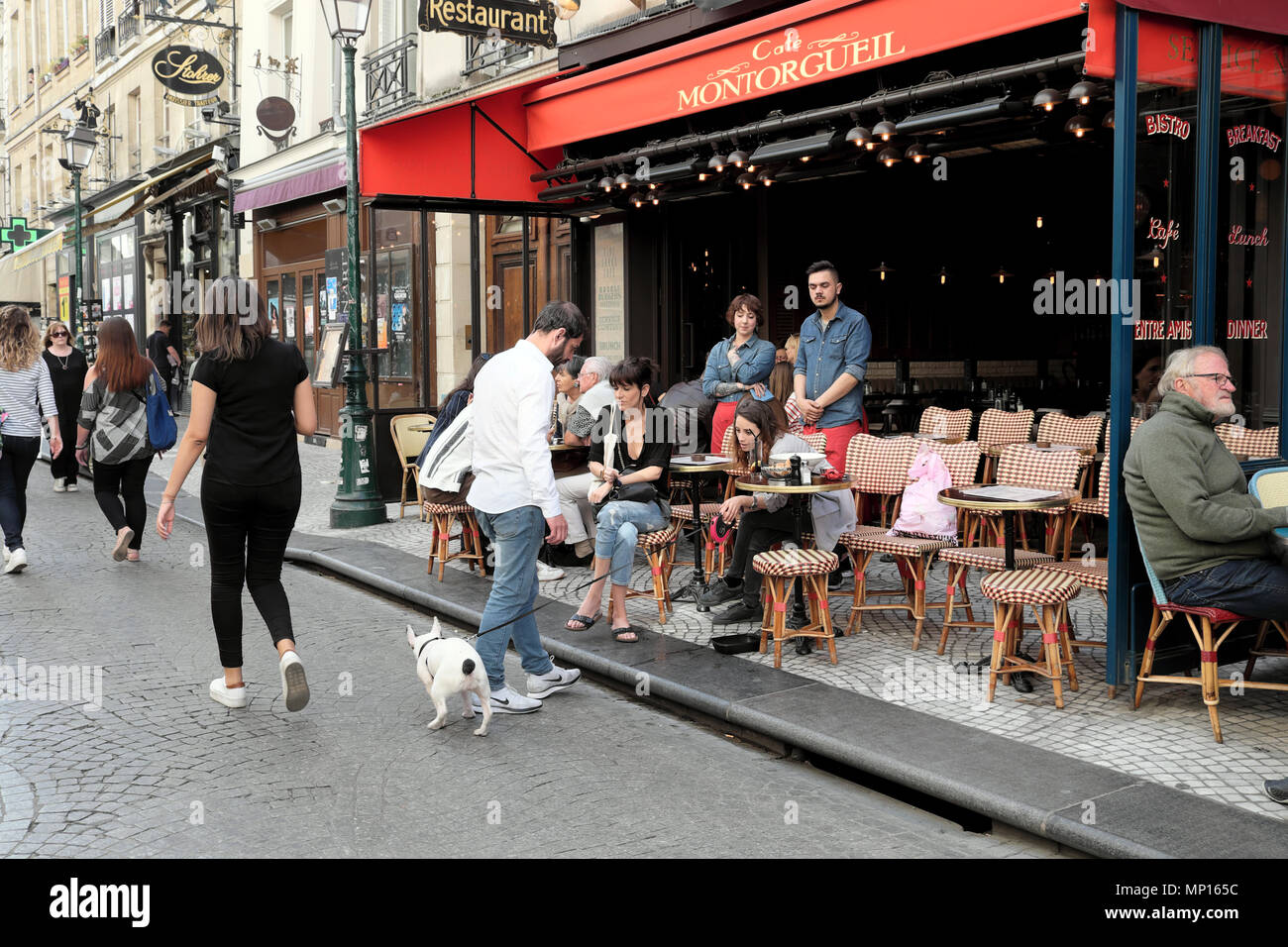 Femme avec un chien blanc et des gens assis à des tables à l'extérieur de Cafe Montorgueil dans l'après-midi de printemps en avril Paris France Europe UE KATHY DEWITT Banque D'Images