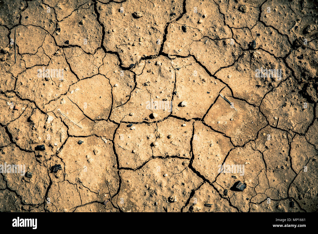 Terre desséchée à sec à partir de la texture du sol du désert Banque D'Images