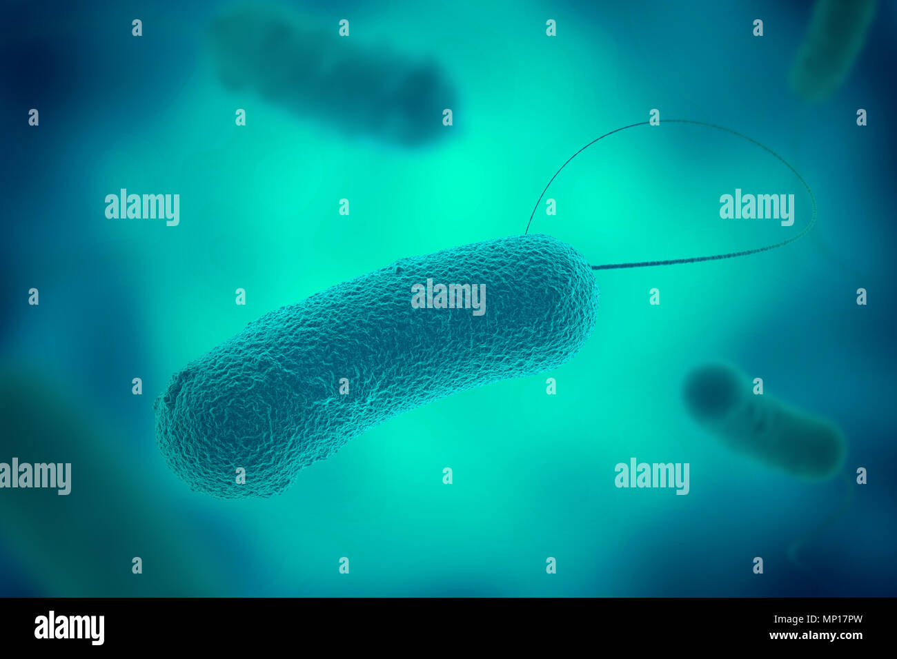 Bactérie legionella bleu avec vue microscopique de flagelles dans le fluide 3D illustration Banque D'Images