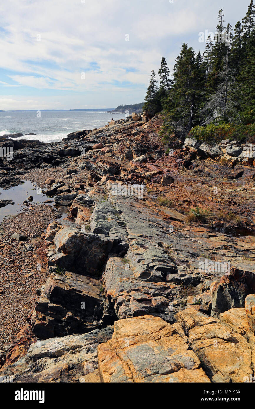 L'Acadia National Park, Bar Harbor, Maine Banque D'Images