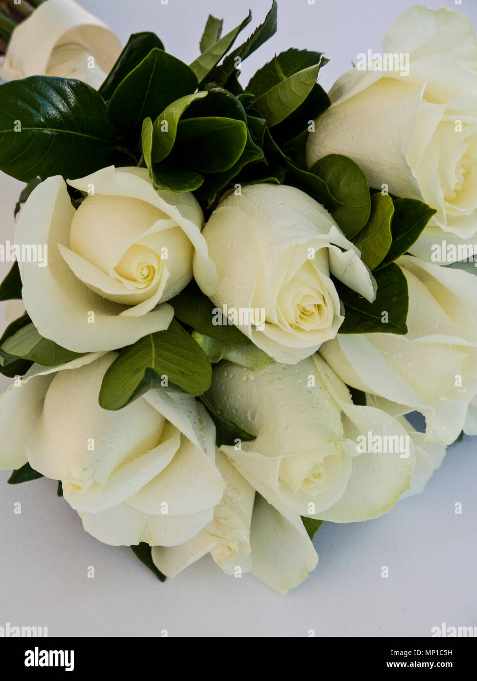 Boutons de rose blanche amour pur élégant et délicat mélange de roses  bouquet de mariage pour de superbes Photo Stock - Alamy
