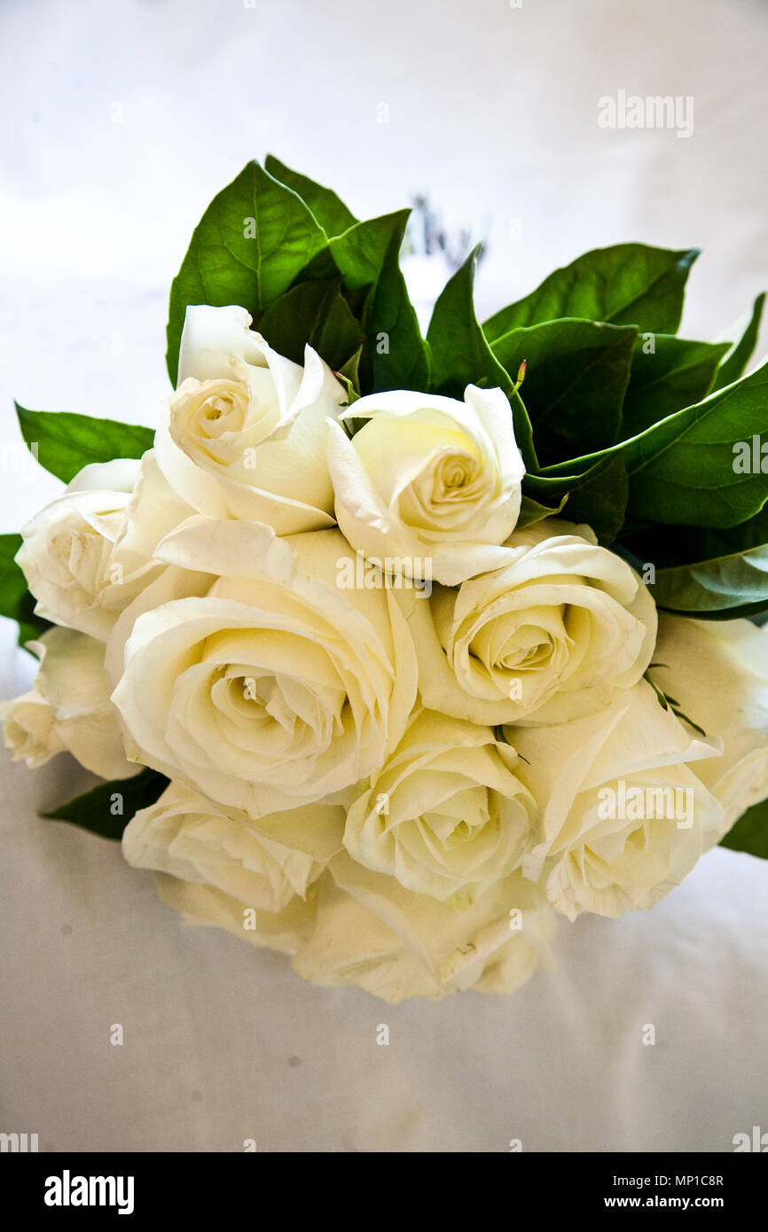 Boutons de rose blanche amour pur élégant et délicat mélange de roses  bouquet de mariage pour de superbes Photo Stock - Alamy