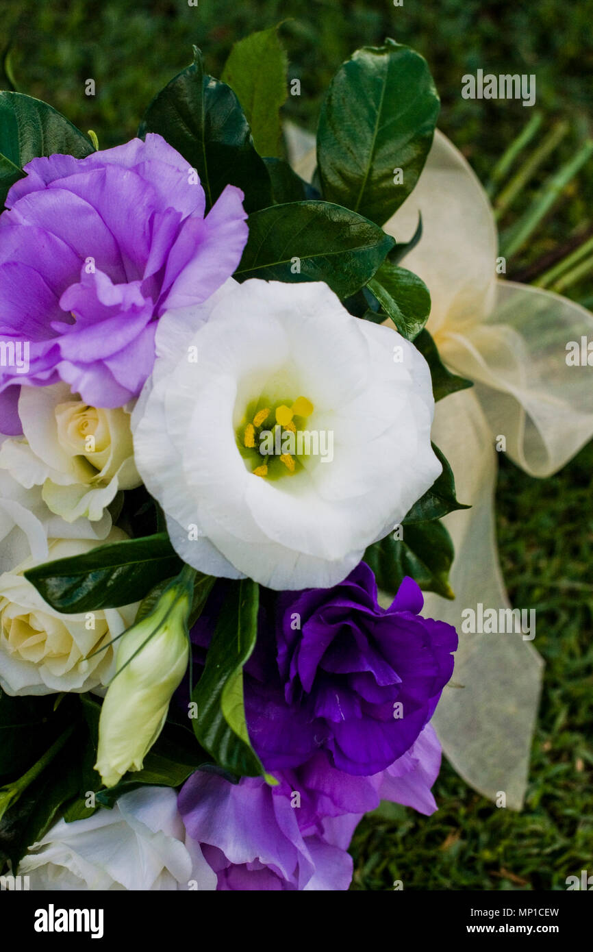 Accueil Idee Fleurs Violettes Decor Pivoine Pivoine Style Peonia Surprise Anniversaire Photo Stock Alamy
