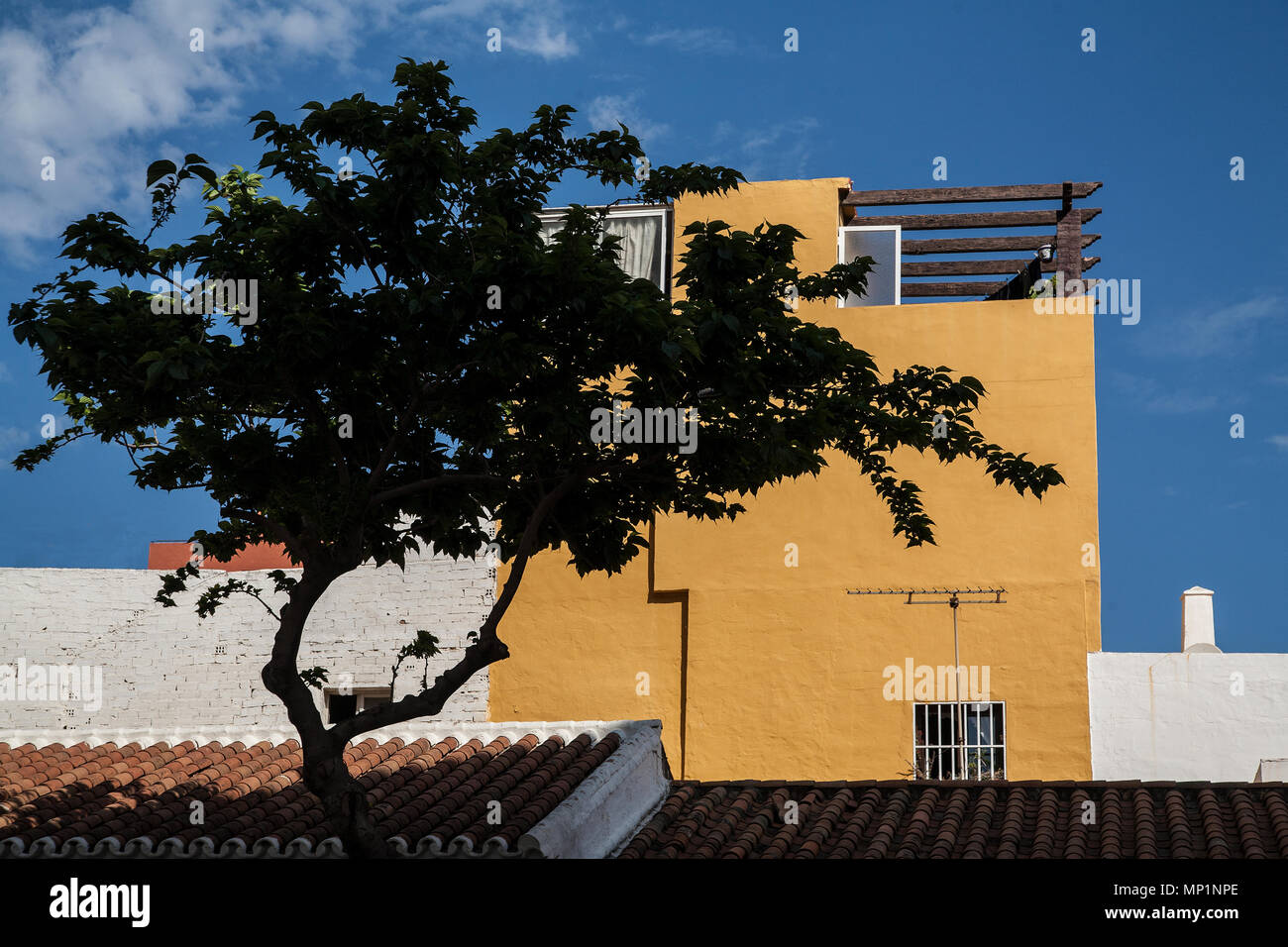 Scène de rue d'Estepona, Espagne Banque D'Images