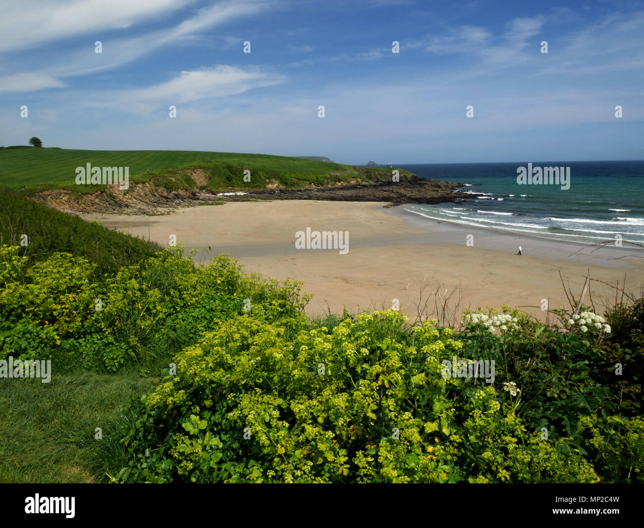 Porthcurnick beach, Portscatho, Cornwall. Banque D'Images