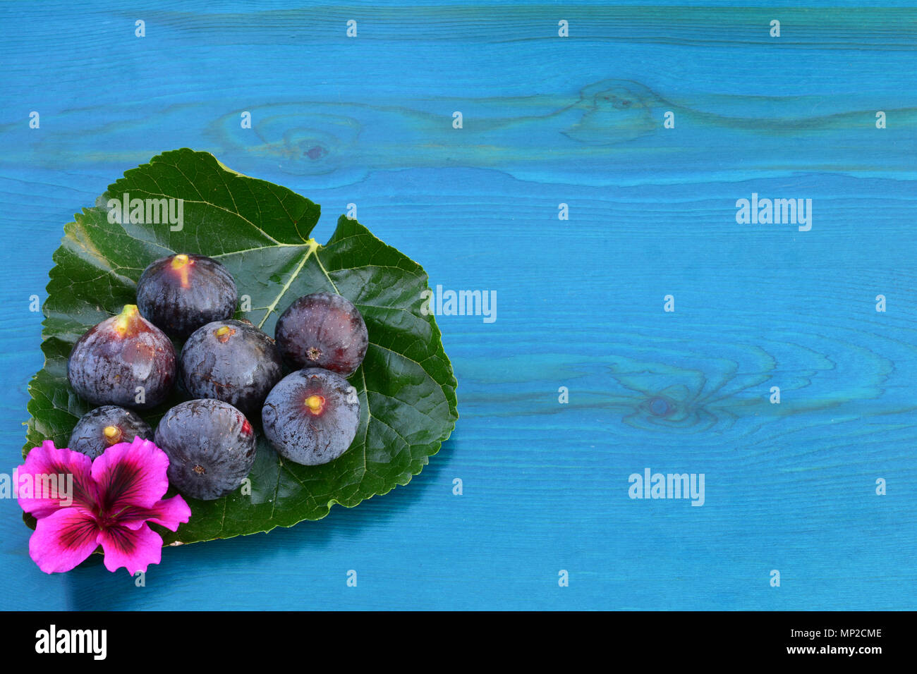 7 figues mûres et bleu fleur rose sur feuille de mûrier sur big blue background with copy space, vue d'en haut Banque D'Images