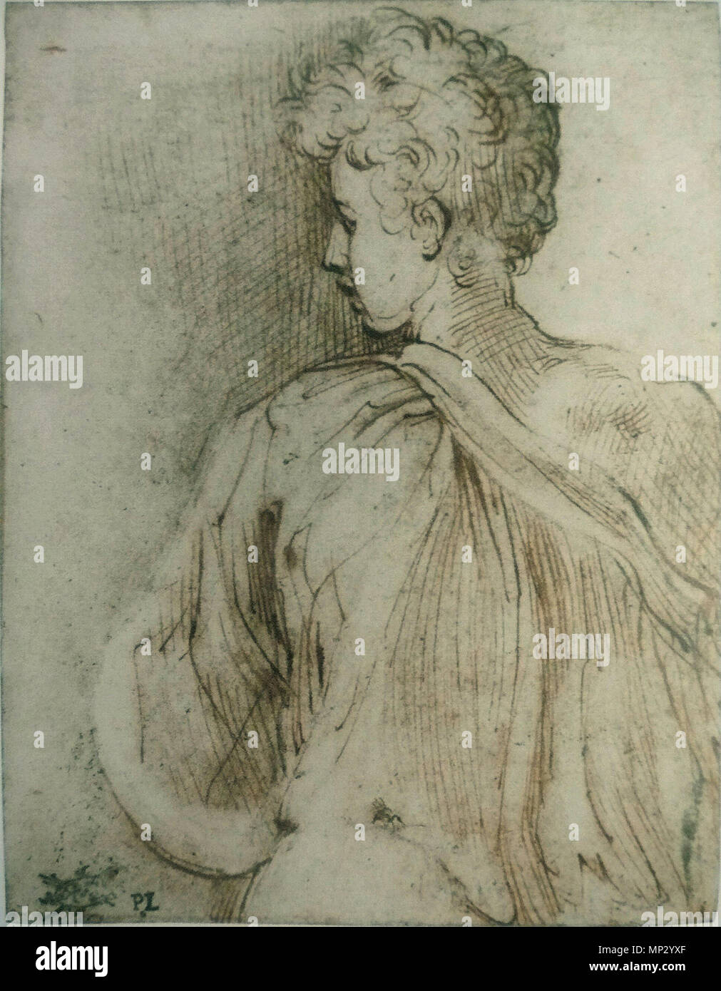 Jeune homme vu de dos, le visage de profil, années 1520. 962 Parmigianino Banque D'Images