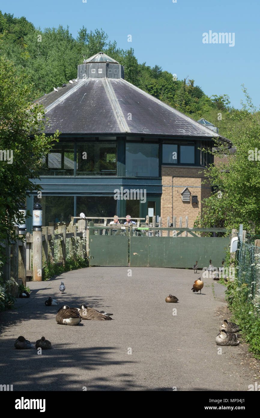 Centre de visiteurs à l'Arundel Wildfowl and Wetland Trust Banque D'Images
