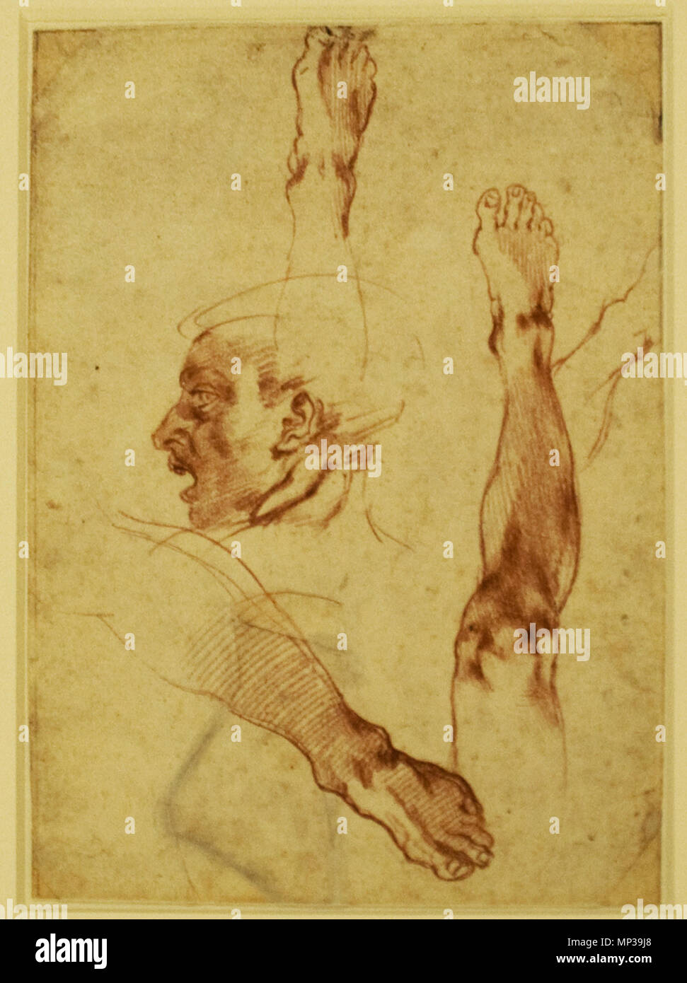 Tanulmányok Ádám Magyar : az teremtéséhez français : étude d'une tête, pattes de Dieu (Sixte chapelle) vers 1511. 1148 Étude d'un chef Banque D'Images