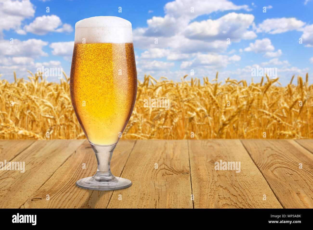 Verre de bière légère de mousse et de bulles sur table en bois contre golden ripe wheat field sur journée d'été Banque D'Images