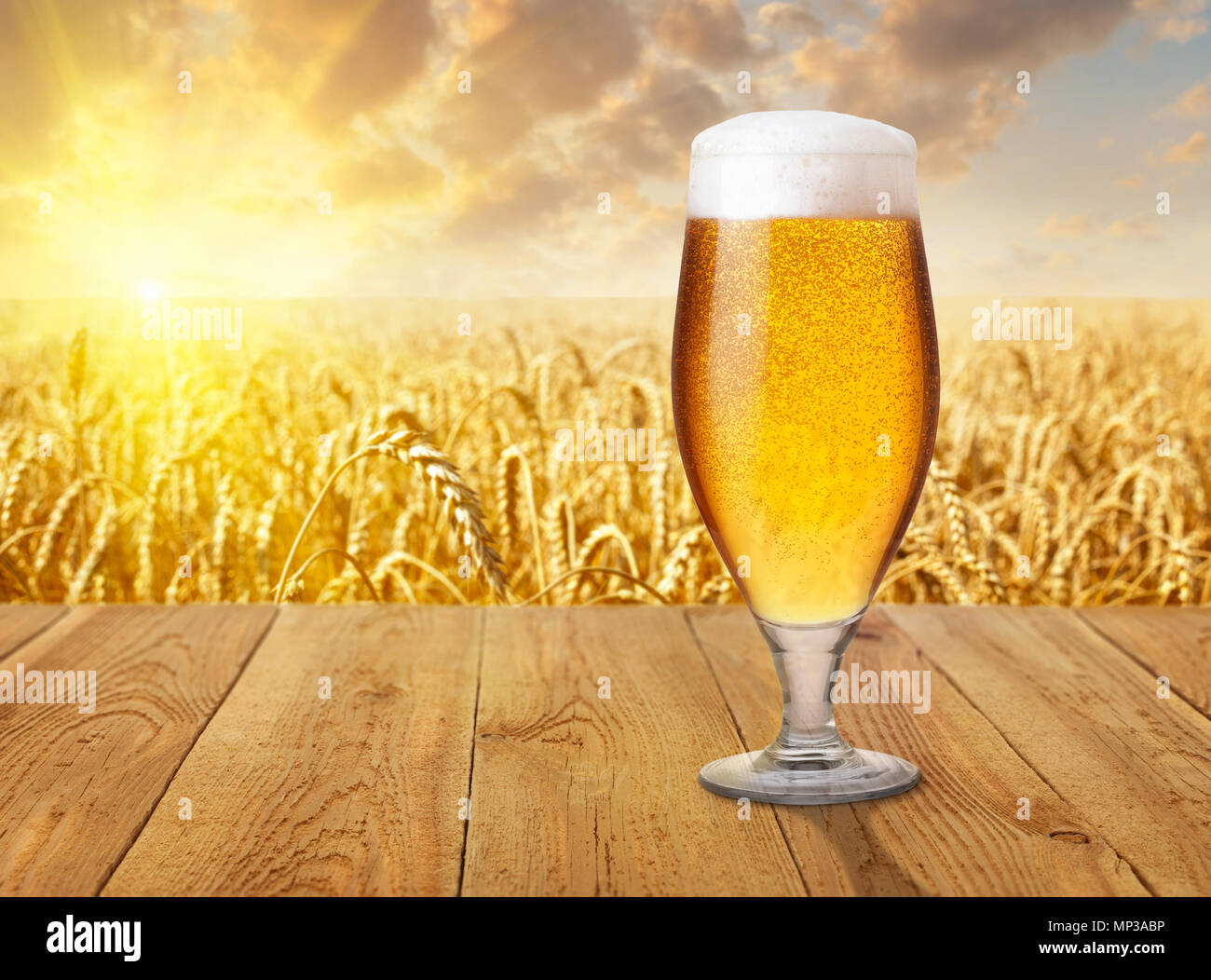 Verre de bière légère de mousse et de bulles sur table en bois contre champ de blé doré mûrs sur le coucher du soleil Banque D'Images