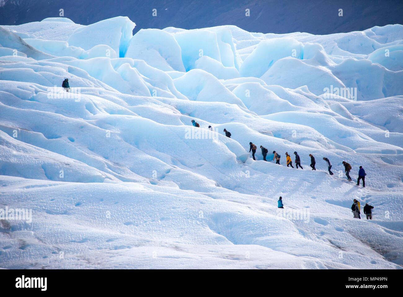 Trekking sur le glacier Perito Moreno, Parque Nacional Los Glaciares, Argentine Banque D'Images