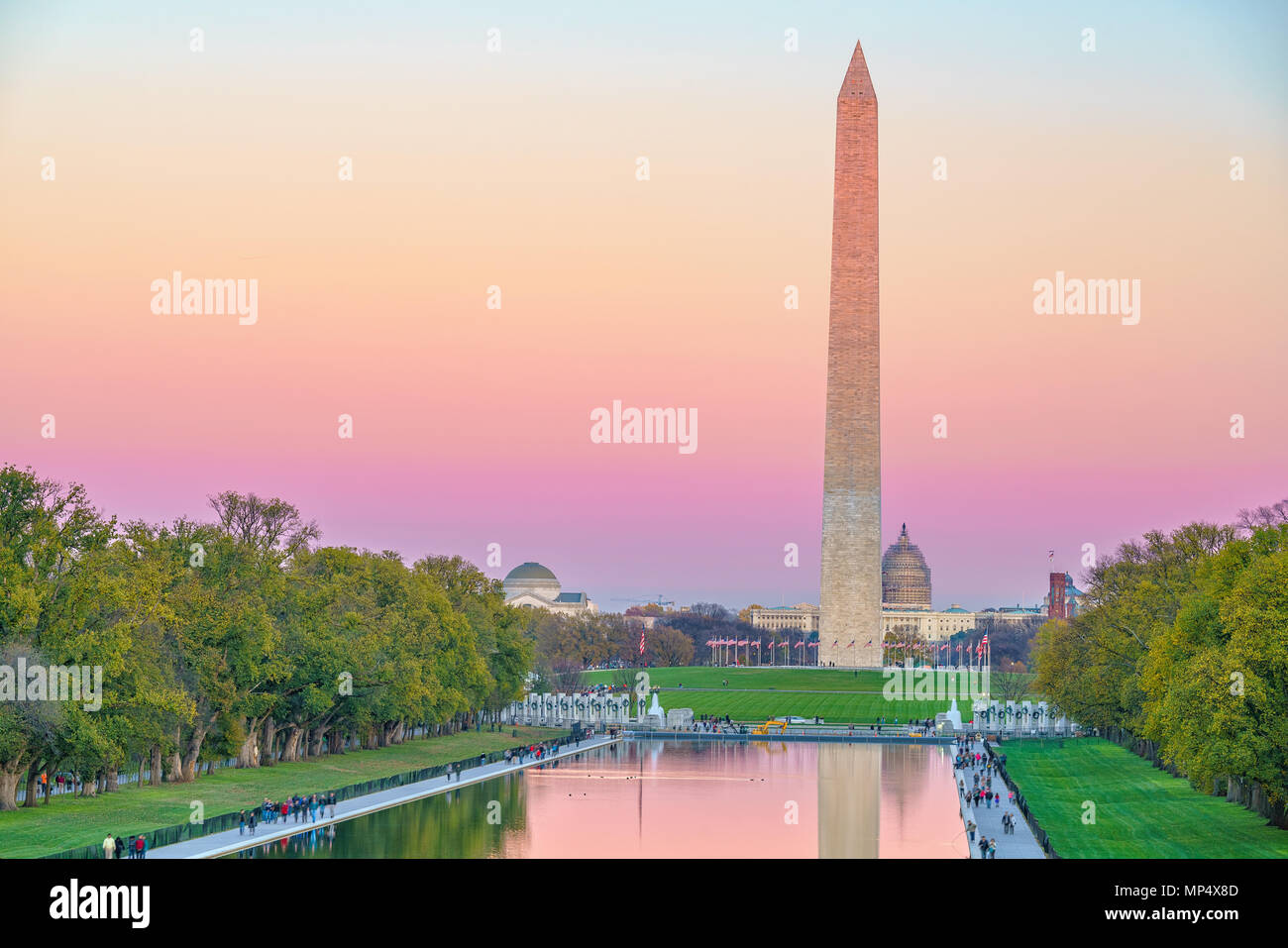 Le Monument de Washington, USA Banque D'Images