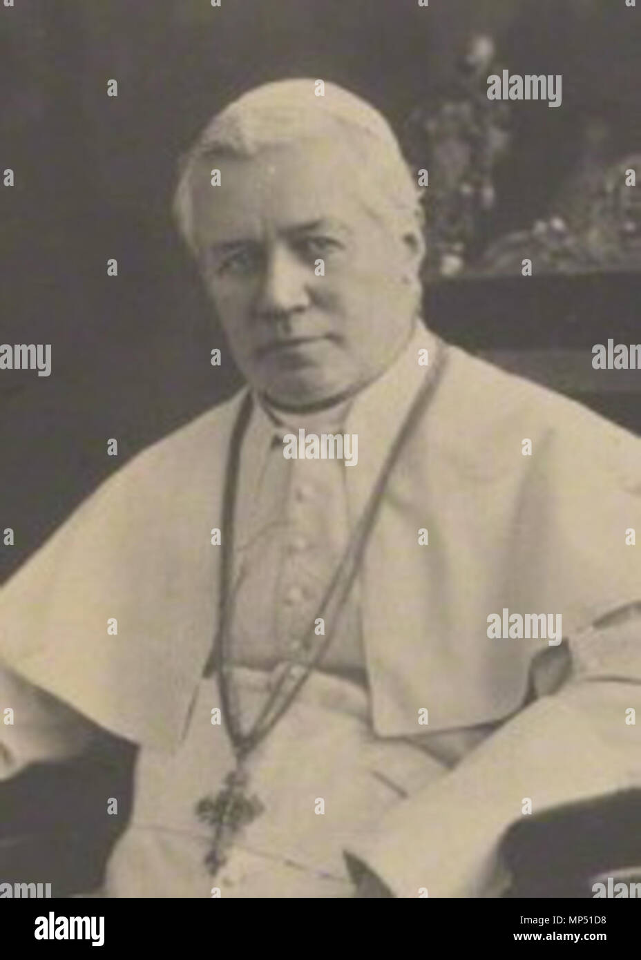 NPG P1700(70d) ; le Pape Pie X (Giuseppe Melchiorre Sarto) . Anglais : le Pape Pie X . 1904. Fratelli D'Alessandri : Antonio D'Alessandri (mort en 1893) et Paolo Francesco D'Alessandri (mort en 1889) 1008 Pie X NPG Banque D'Images