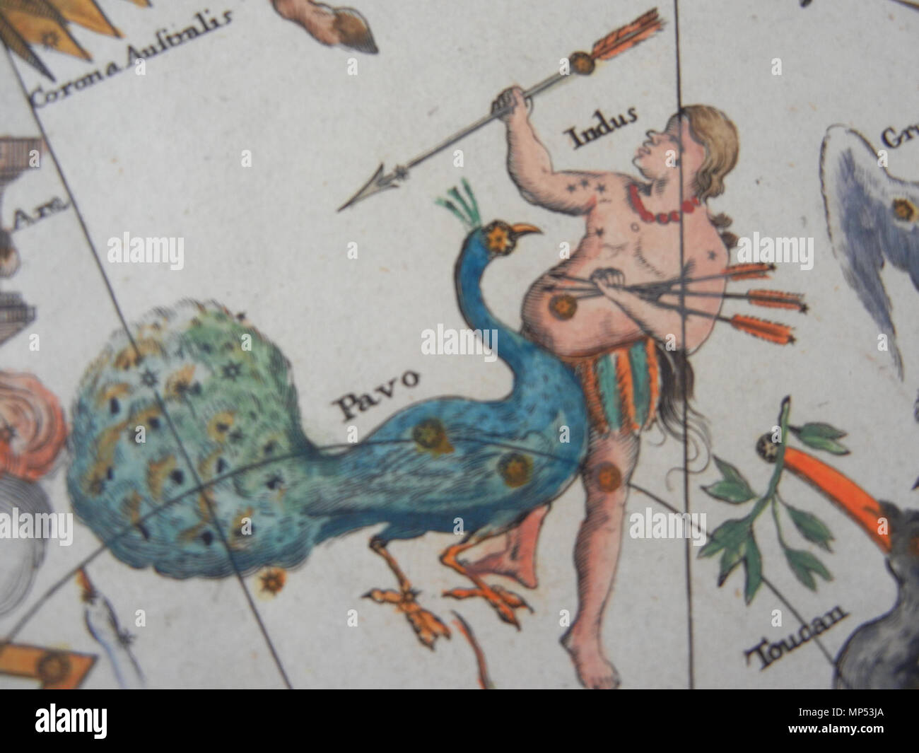 . Anglais : Constellations Pavo et Indus, d'un graphique de l'hémisphère céleste sud (Atlas Coelestis in quo Mundus Spectabilis...) à partir de 1730 . Entre 1730 et 1742 circa circa. Johan Gabriel (Doppelmayr 1677-1750) Noms alternatifs Johan Gabriel ; Doppelmayr Johann Gabriel Doppelmayer ; Johann Gabriel Description Doppelmair mathématicien, astronome et cartographe Date de naissance/décès 27 Septembre 1677 1 décembre 1750 Lieu de naissance/décès de Nuremberg Nuremberg Nuremberg lieu de travail contrôle d'autorité : Q85153 : 89145542624496642041 VIAF ISNI : 0000 0001 1743 0160 RCAC : non Banque D'Images