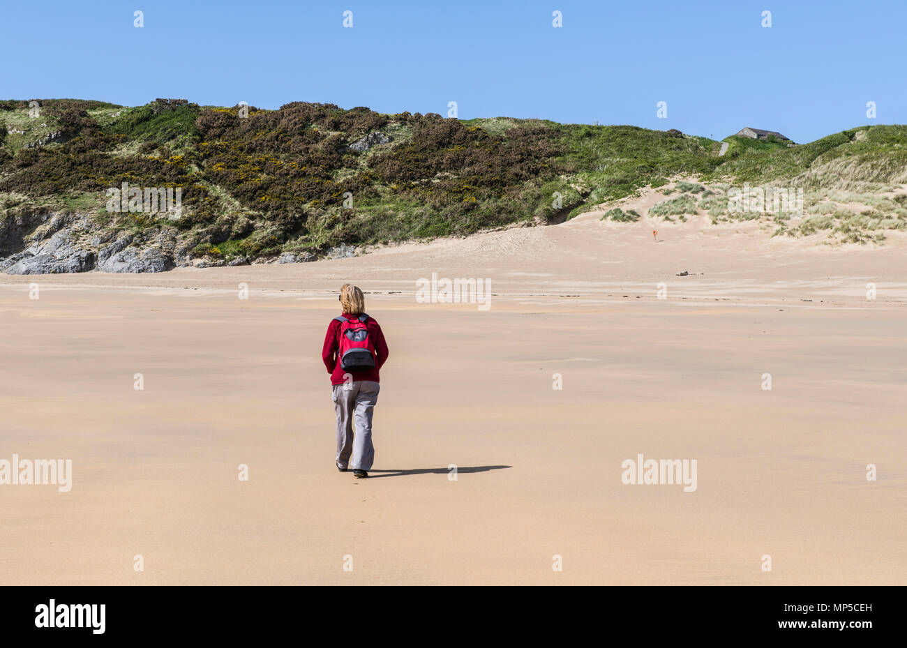 Dame de marcher à travers de vastes Haven (sud) sur la plage du parc national de Pembrokeshire Coast, West Wales Banque D'Images