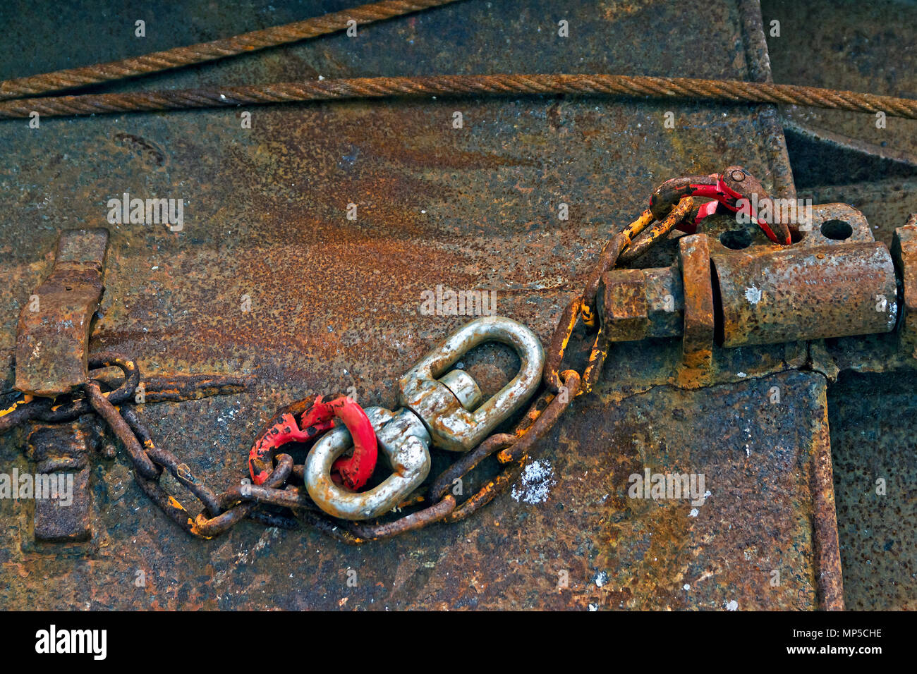 Otter boards Banque de photographies et d’images à haute résolution - Alamy