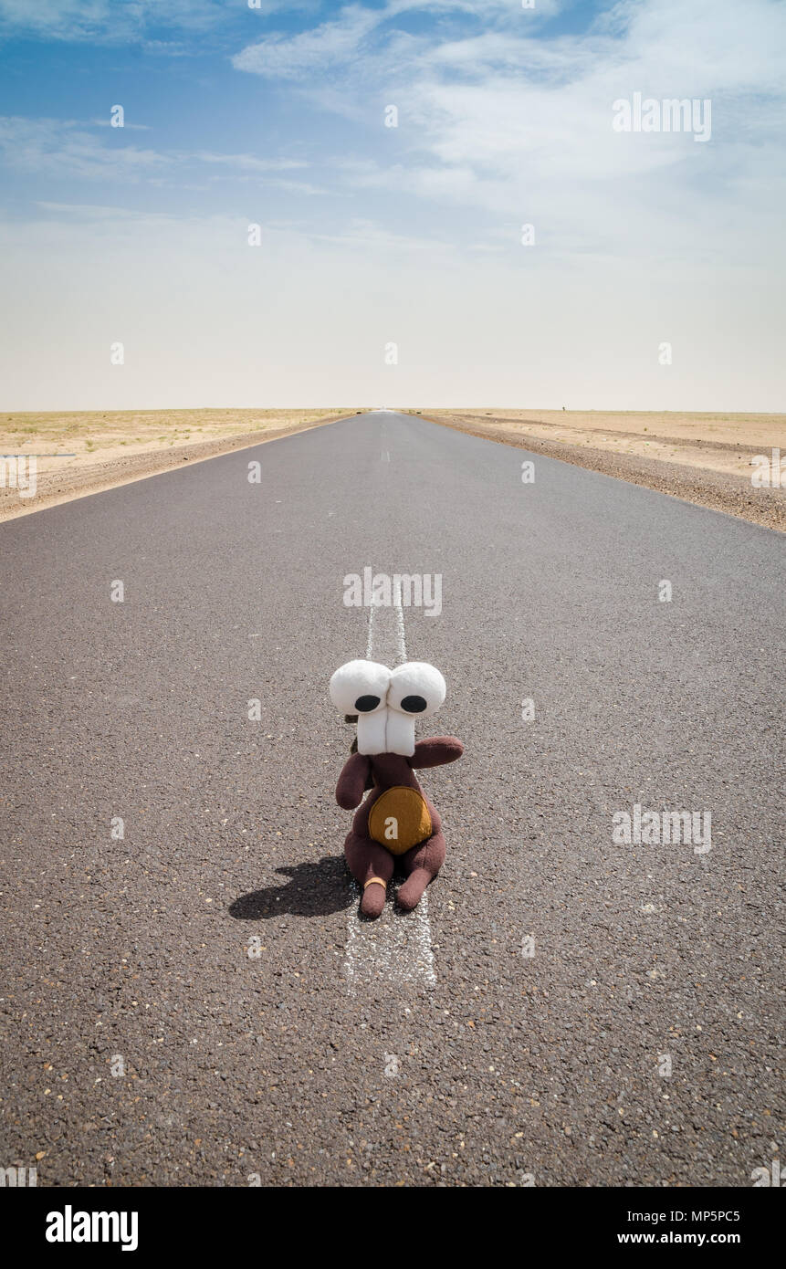 Peluche mignon assis au milieu de la route du désert vide, avec des point de vue, la Mauritanie, l'Afrique Banque D'Images