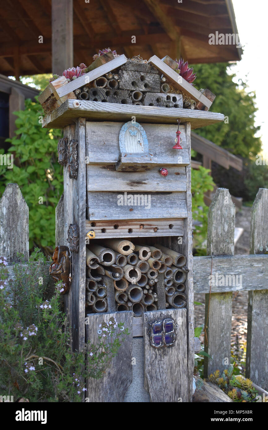 Maison de l'abeille dans le jardin Banque D'Images