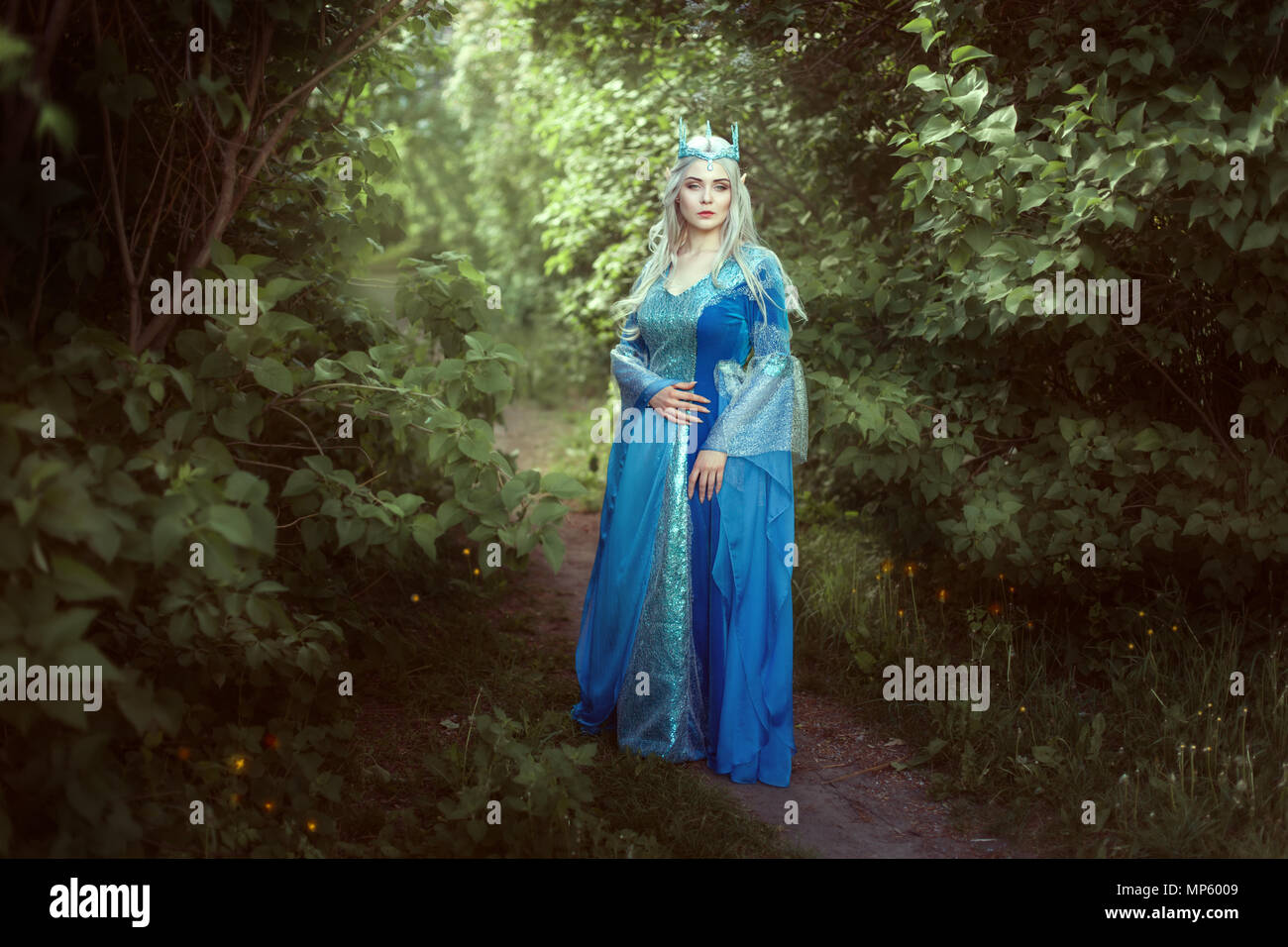 Belle femme elfe dans une robe bleue debout dans la forêt féerique. Banque D'Images