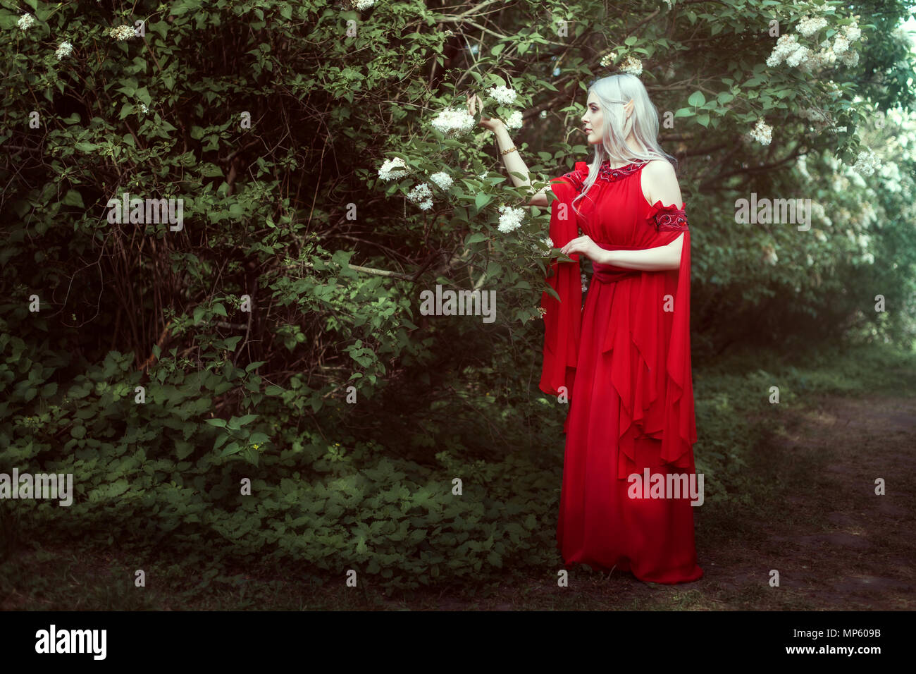 Jeune femme elfe dans une robe rouge dans une forêt féerique. Banque D'Images