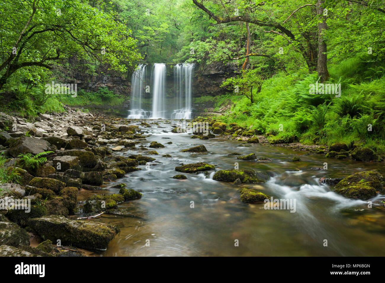 Sgwd yr Eira (chute de neige) cascade sur la rivière Afon Hepste dans le parc national de Bannau Brycheiniog (Brecon Beacons) près de Ystradfellte, Powys, pays de Galles. Banque D'Images