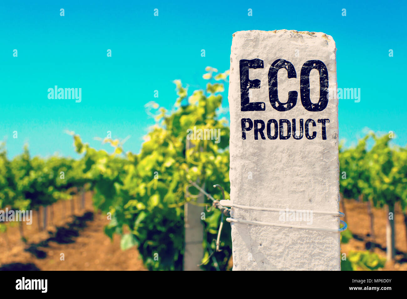 Produit Eco - concept écologique. Banque D'Images